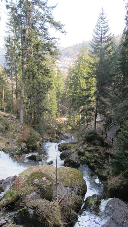 Hotel Zum Baren Triberg im Schwarzwald Exterior foto